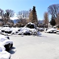 写真: 庭園池も雪景色