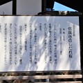 写真: 上田市文化財信廣寺のしだれ桜