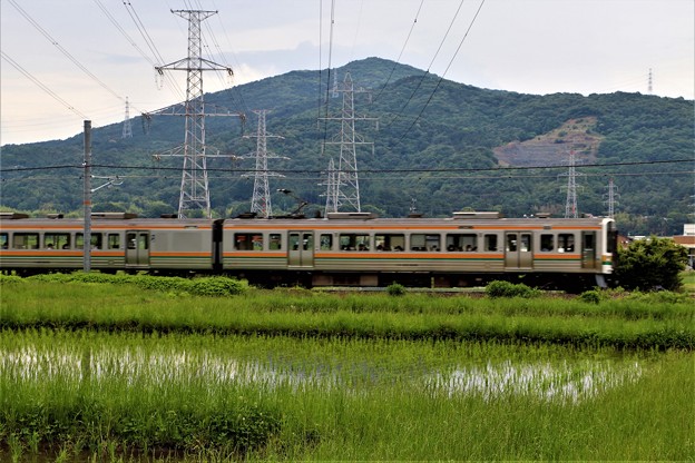 写真: 田園を走る飯田線
