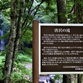 写真: 唐沢の滝説明板