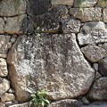 真田石と呼ばれる直径３ｍの巨石