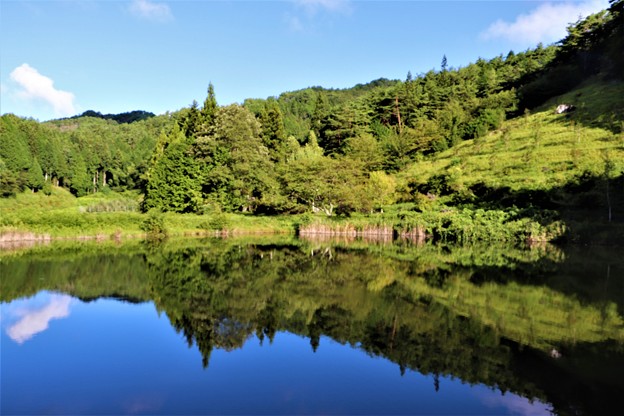 大村湖の水鏡