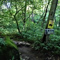 写真: 吐竜の滝散策路