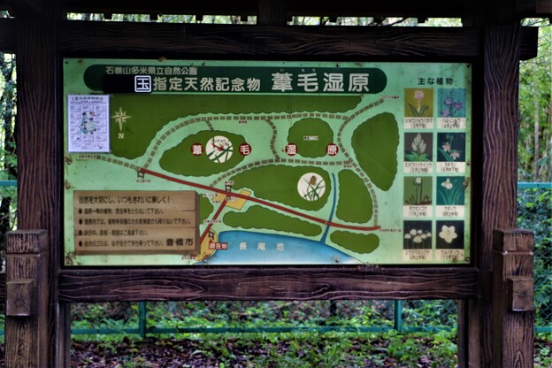 国天然記念物「葦毛湿原」案内図