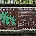 写真: 石巻山多米自然公園