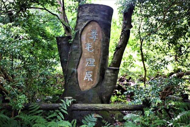 写真: 葦毛湿原木碑