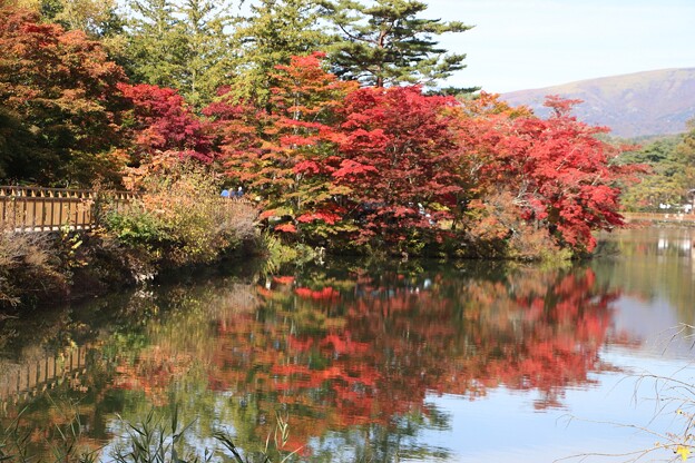 蓼科湖に映り込む紅葉