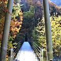 写真: 小太郎つり橋