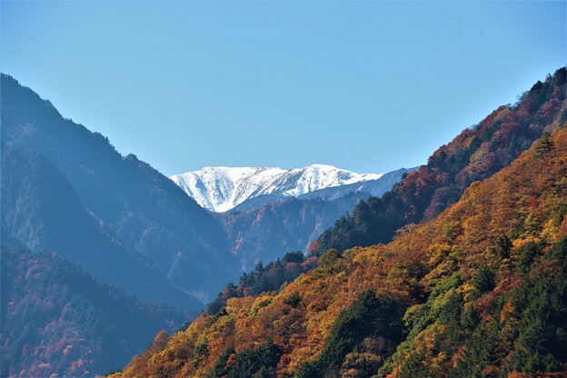 冠雪の野口五郎岳