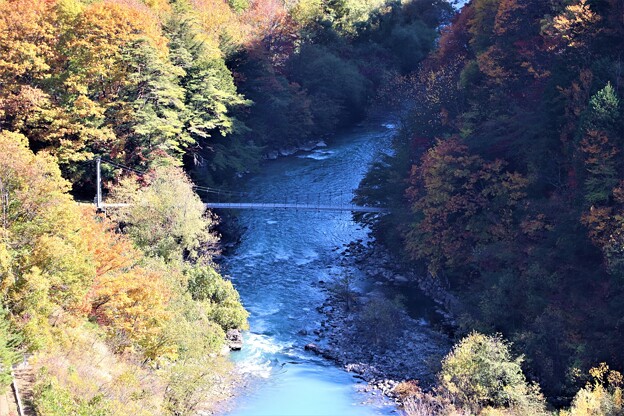 写真: 高瀬川に架かる小太郎吊り橋