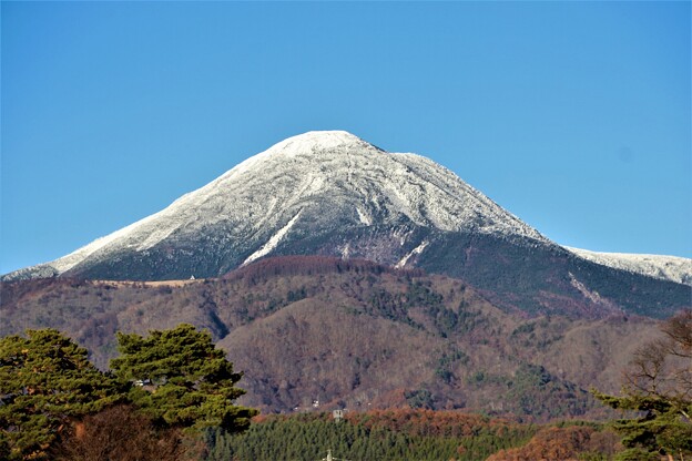 写真: 冠雪の蓼科山