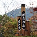 愛知県民の森標柱