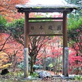 写真: 日本庭園