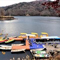 写真: ボートに乗って三河湖見物を