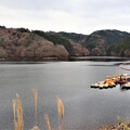 写真: 三河湖