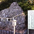 写真: 日本一大きいさざれ石