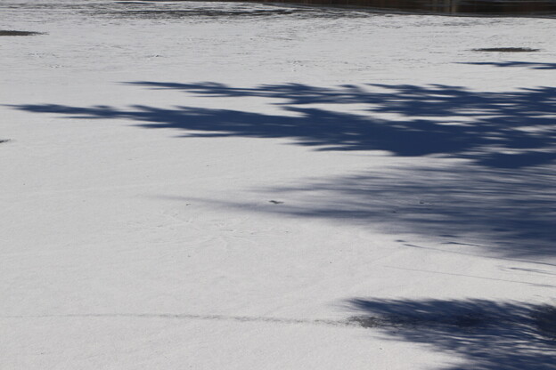 凍結の蓼科湖