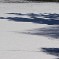 写真: 凍結の蓼科湖