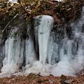 写真: 横谷渓谷の氷柱