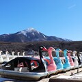写真: 白鳥ボートの冬休み