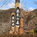 写真: 愛知県民の森塔