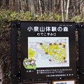 小泉山体験の森案内