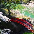太鼓橋と桜を望む