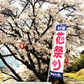 写真: 田切花祭り幟