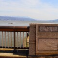 写真: 橋の欄干の諏訪湖と白鳥