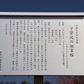 写真: 「下宮沢の祖霊桜」解説板
