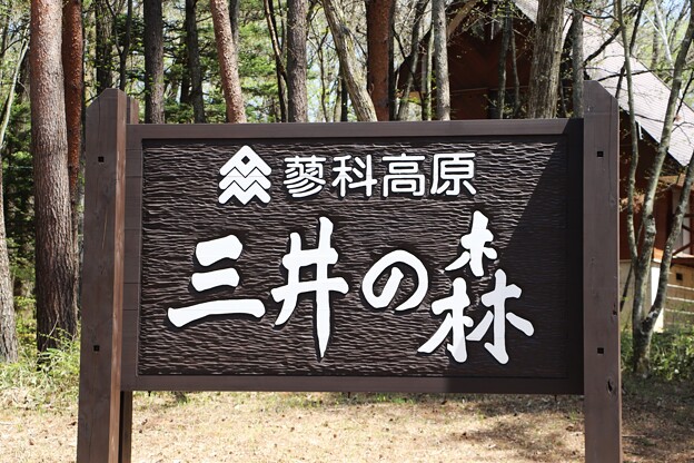 写真: 三井の森