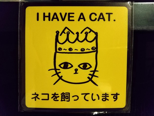 I HAVEA CAT