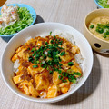 写真: 麻婆豆腐丼