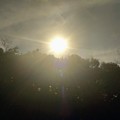 Photos: 冬の太陽