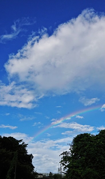 写真: Over the Rainbow