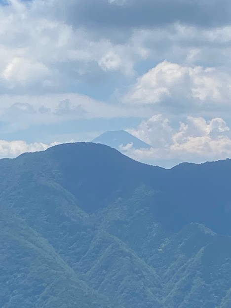 写真: 松姫峠から富士山