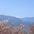 Photos: 北岳