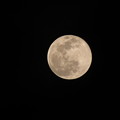 写真: きょうの月