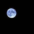 写真: 月がとっても青いから〜