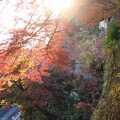 写真: 秋の午後