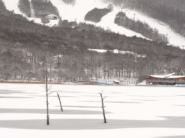 Photos: 静かなる湖は冬色。