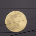 Photos: 月に接線、円周角は。