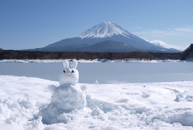 Photos: うさぎちゃんの雪だるま。