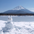 Photos: うさぎちゃんの雪だるま。