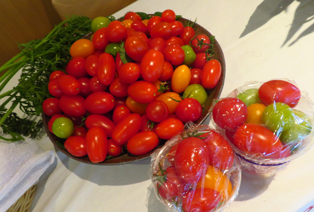 Photos: 取り立てトマトいかがです。