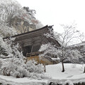 写真: 仁王門前の雪の華。