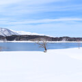 写真: 青木湖はまだまだ雪模様。