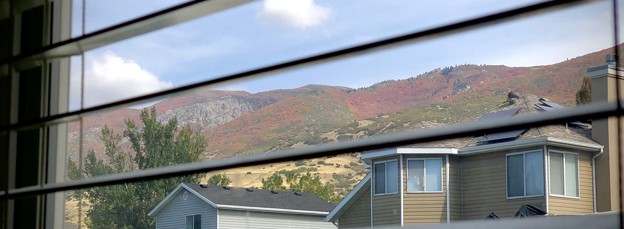 窓から見える裏山の秋♪