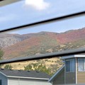 写真: 窓から見える裏山の秋♪