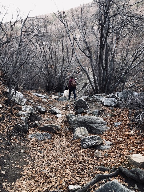 Deuel Creek Trail